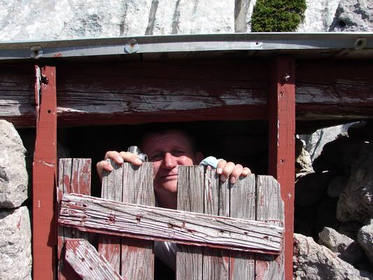 Photo Sharing and Video Hosting at Photobucket