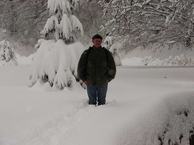 Photo Sharing and Video Hosting at Photobucket