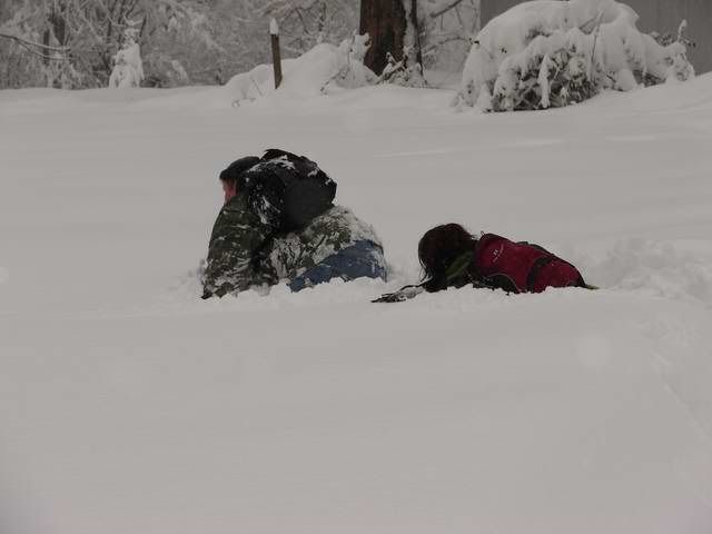 Photo Sharing and Video Hosting at Photobucket