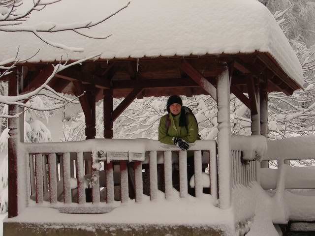 Photo Sharing and Video Hosting at Photobucket