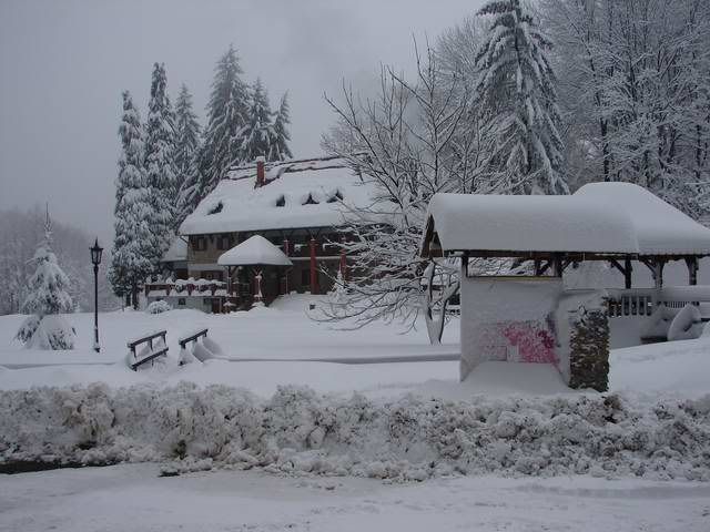 Photo Sharing and Video Hosting at Photobucket