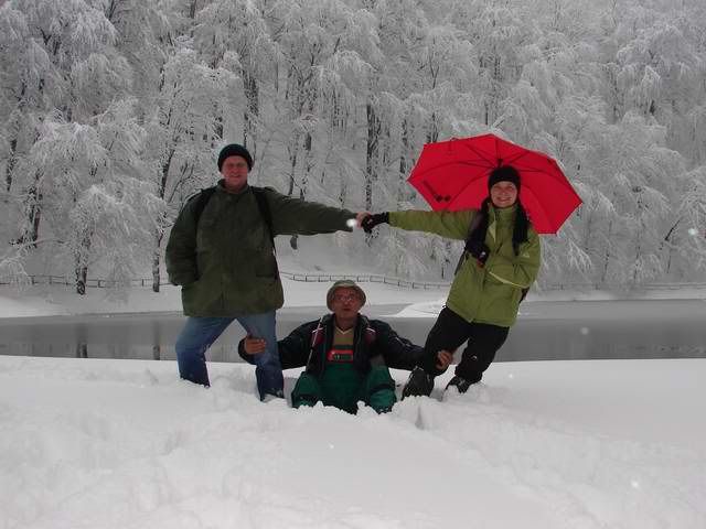 Photo Sharing and Video Hosting at Photobucket