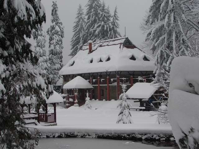 Photo Sharing and Video Hosting at Photobucket