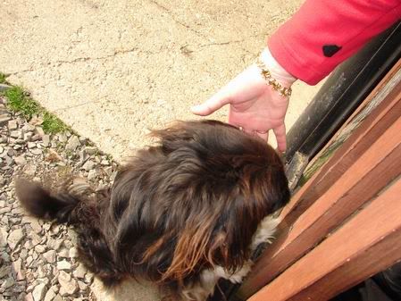 Photo Sharing and Video Hosting at Photobucket