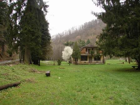 Photo Sharing and Video Hosting at Photobucket