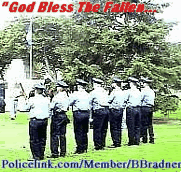 PLbbrad21gunSaluteGifmovie.gif