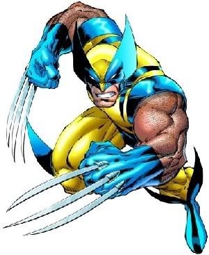 wolverine photo: wolverine wolverine.jpg