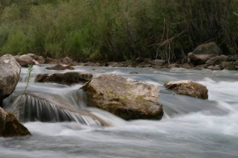 IMAGE: http://i138.photobucket.com/albums/q244/stcuvadlax0609/IMG_5493.jpg