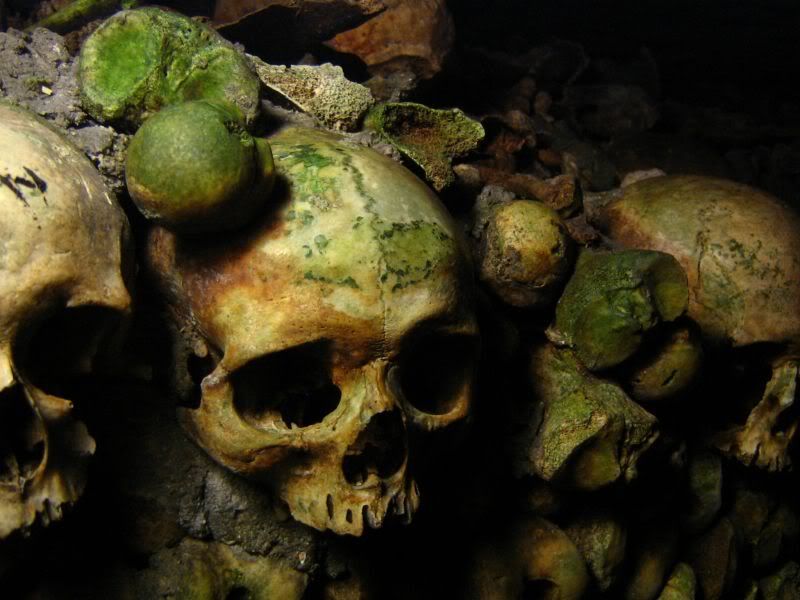 Paris Catacombs Pictures, Images and Photos