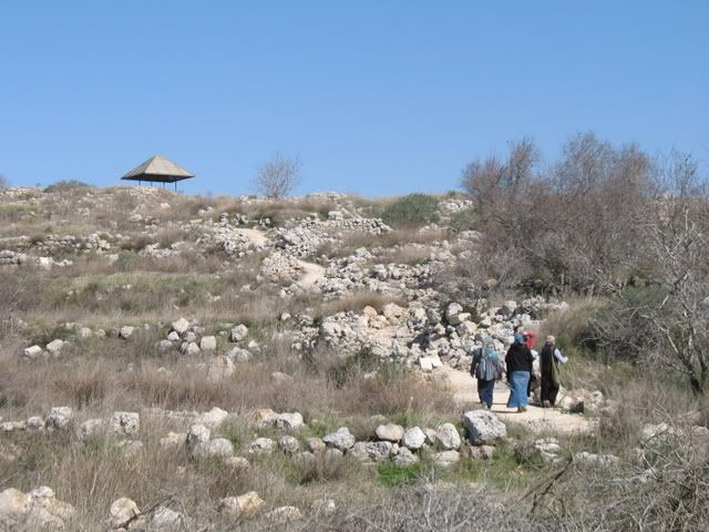 Tel Shiloh 6