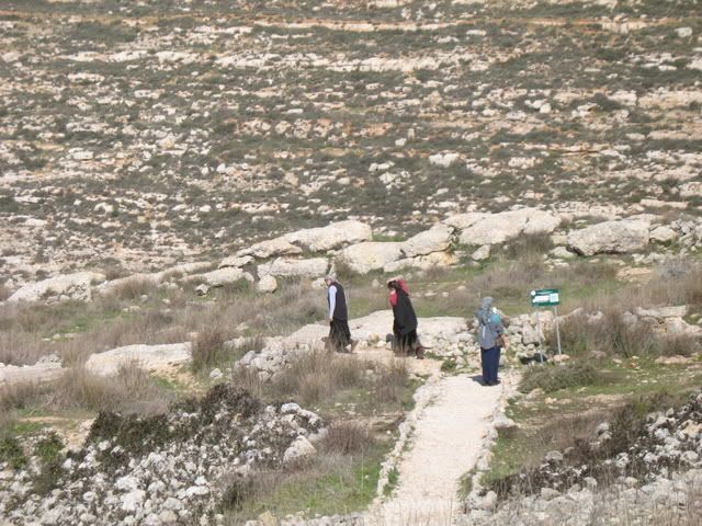 Tel Shiloh 5
