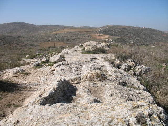 Tel Shiloh 3