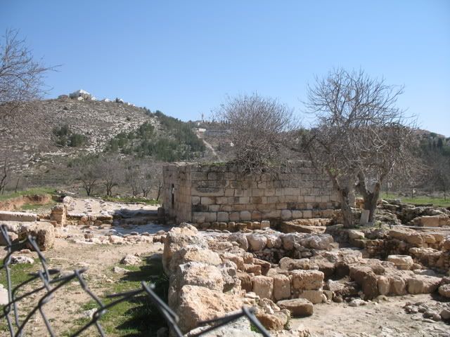 Tel Shiloh 1