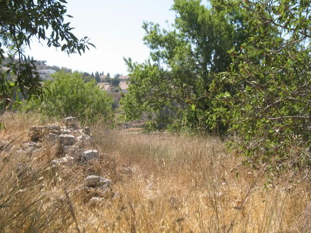 Tel Shiloh, Rosh Chodesh Tammuz, June, 2009