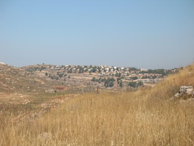 Tel Shiloh, Rosh Chodesh Tammuz, June, 2009