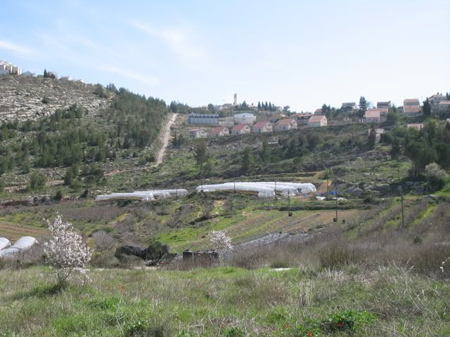 Tel Shiloh 3