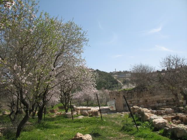 Tel Shiloh 4
