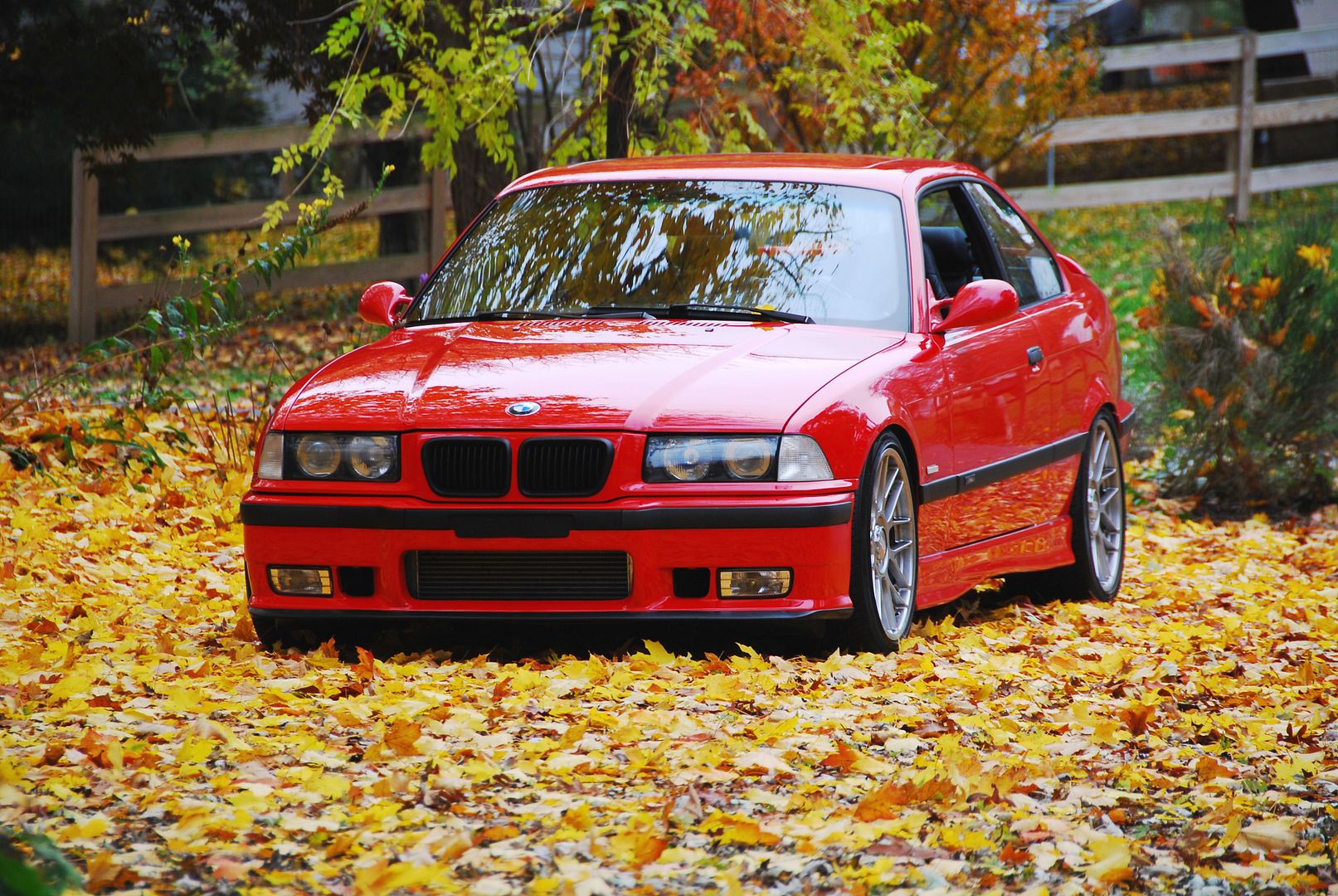 Pic request: red e36