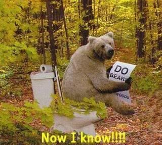 bear-shitting-in-the-woods-bathroom.jpg