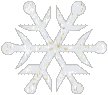 snow flake Pictures, Images and Photos