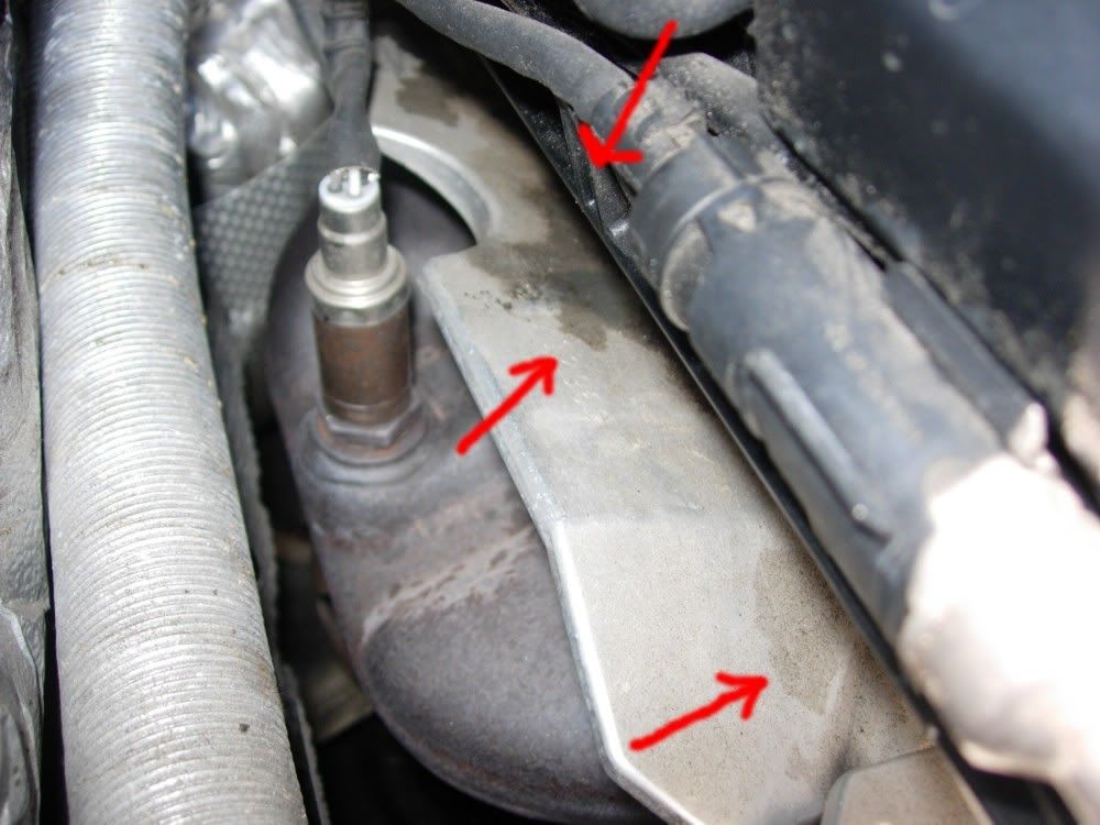 How to Wash & Degrease Your Engine Bay and Diagnose Oil Leaks