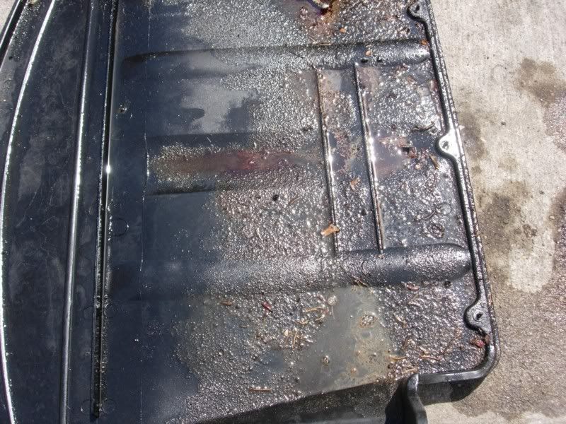 How to Wash & Degrease Your Engine Bay and Diagnose Oil Leaks