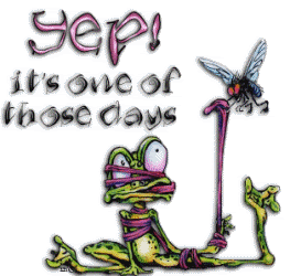 funny frog Pictures, Images and Photos