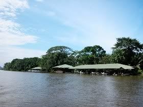Limon