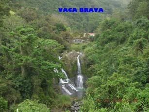 Barranquitas