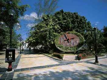 caguas