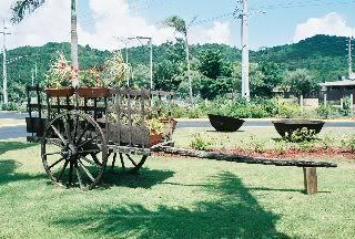 caguas