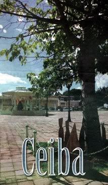 ceiba
