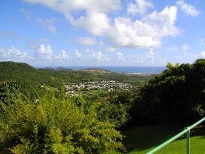 ceiba