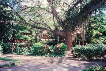 coamo