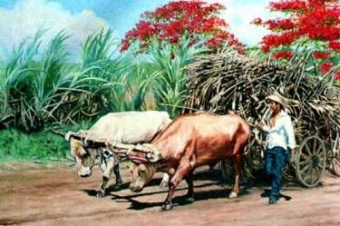 corozal