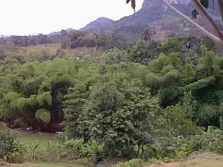 corozal