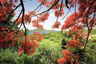 culebra
