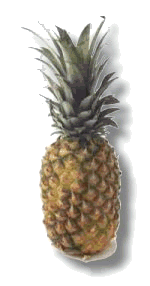 florida