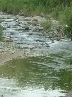 jayuya