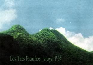 jayuya