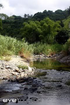jayuya