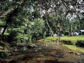 patillas