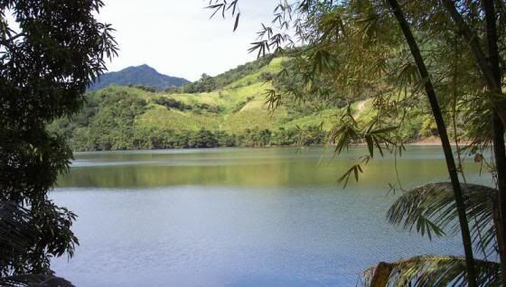 patillas