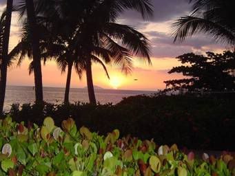 rincon