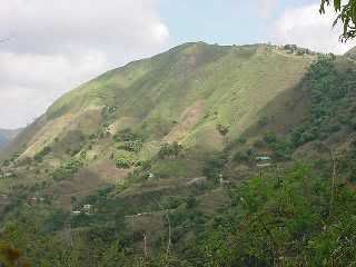 sabana-grande