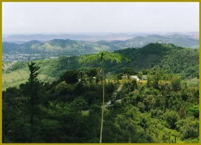sabana-grande