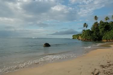vega-alta