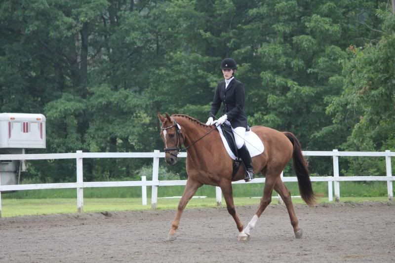 photo IMG_1158.jpg