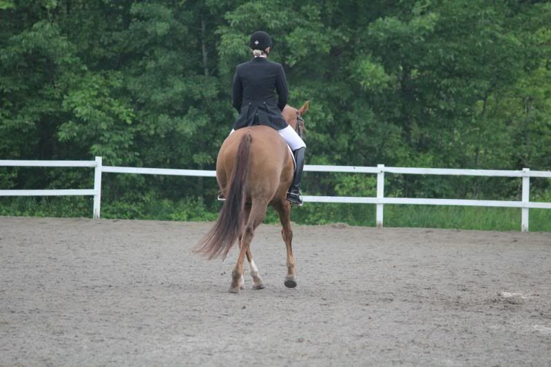 photo IMG_1582.jpg