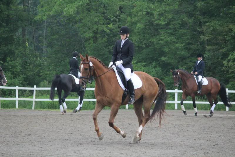 photo IMG_1687-1.jpg